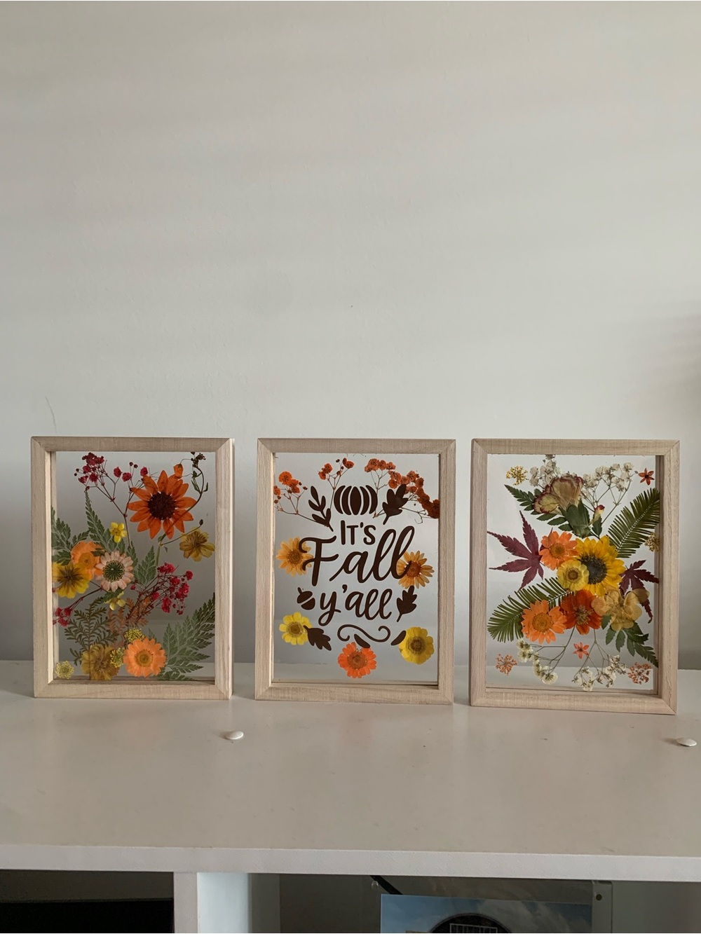 Autumn Pressed Flower Wall Art Set - Orange & Yellow
